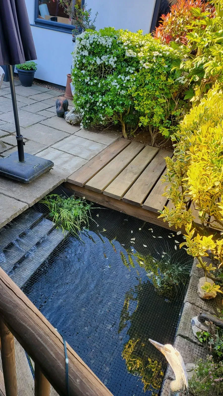 Garden pond in Norfolk by Hilton & Green Landscaping