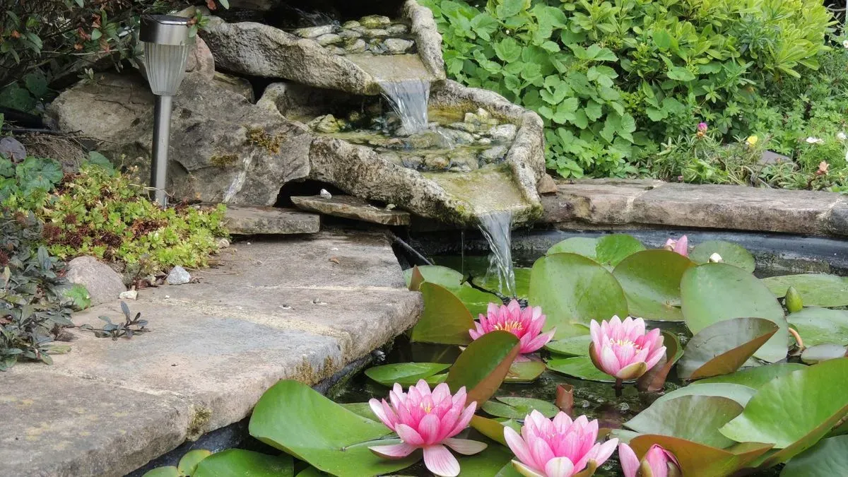 Garden pond in Norfolk by Hilton & Green Landscaping