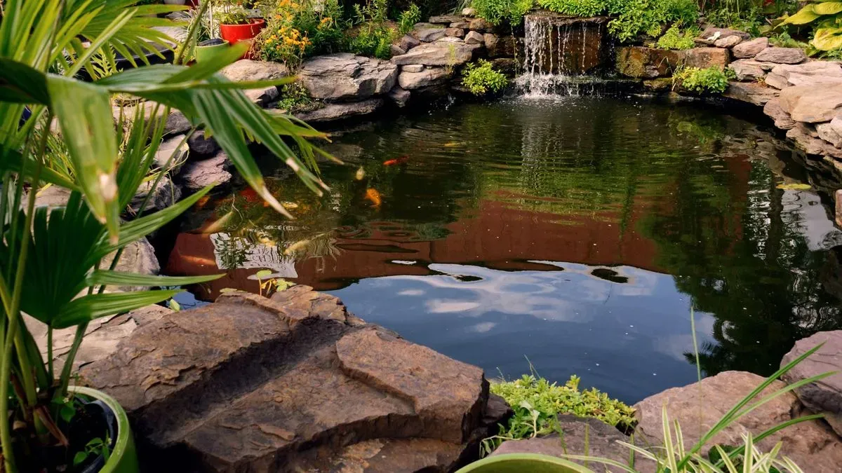 Garden pond in Norfolk by Hilton & Green Landscaping