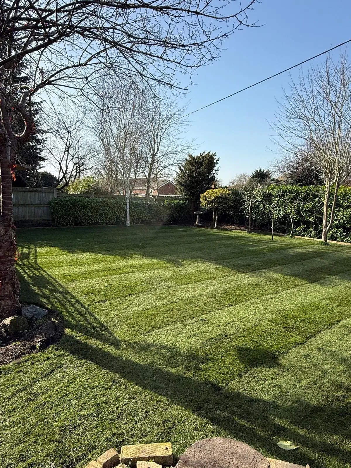 Lawn laying and turfing in Norfolk by Hilton & Green Landscaping