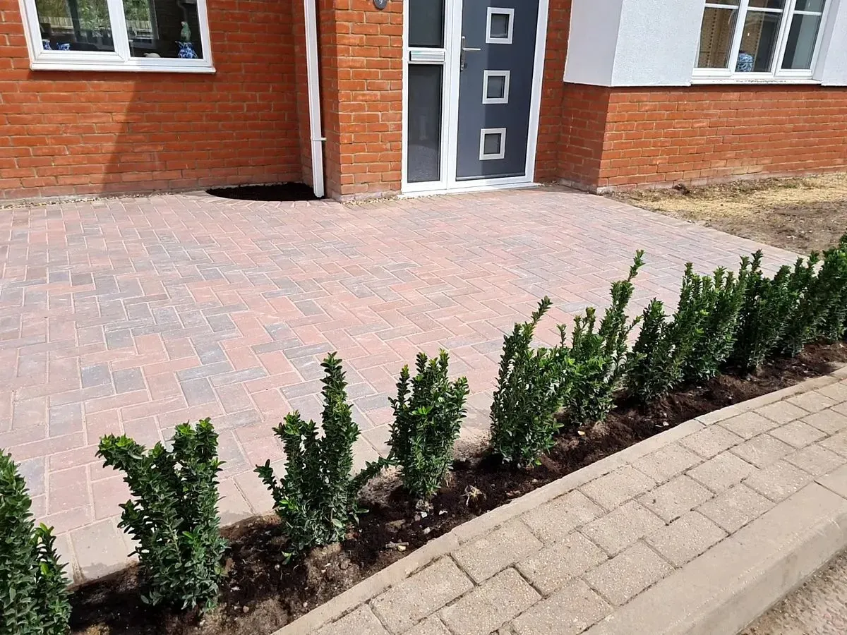 Planting and borders in Norfolk by Hilton & Green Landscaping