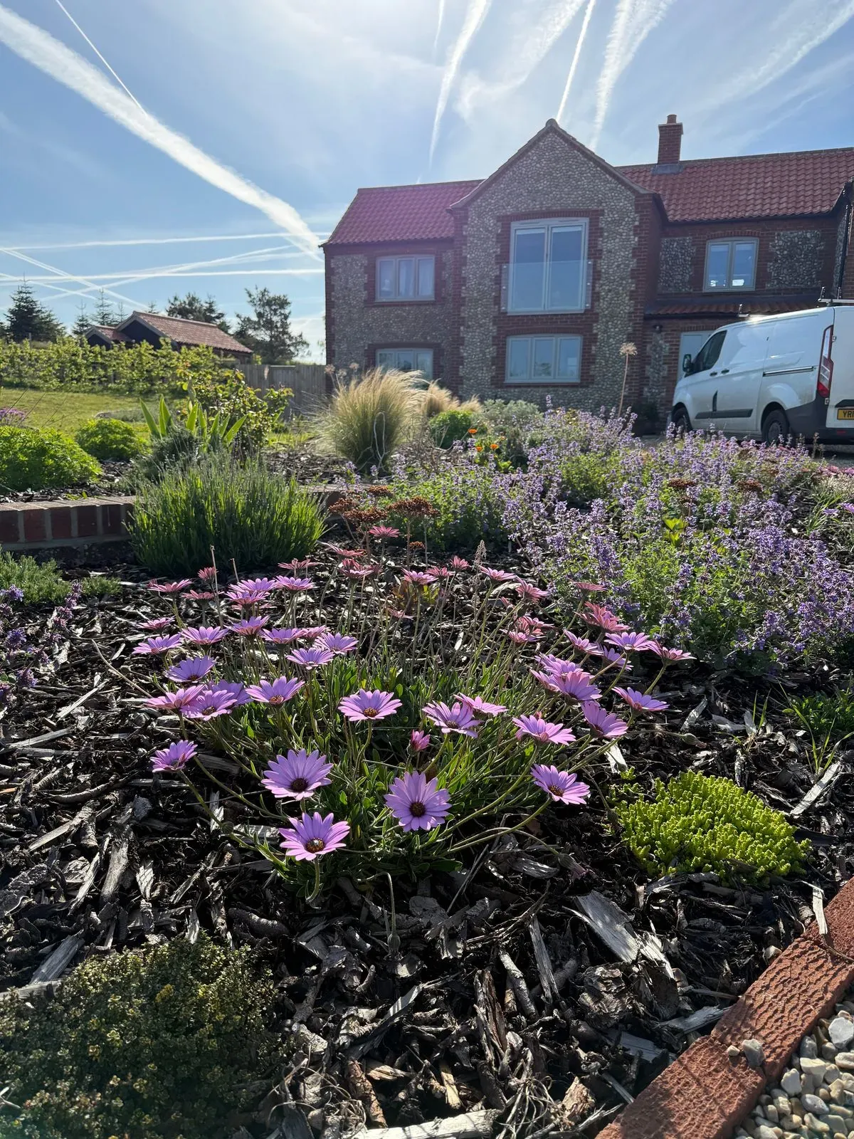 Planting and borders in Norfolk by Hilton & Green Landscaping